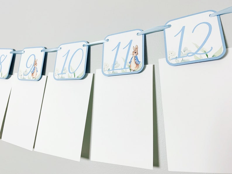 Peter Rabbit Photo Banner that includes months NB - 12. Each pennant features watercolor floral images. Alternating months also includes a Peter Rabbit Image.