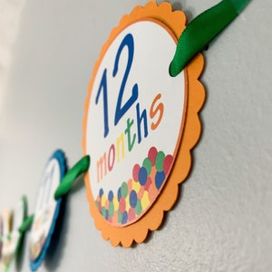 lets have a ball first birthday monthly photo banner featuring a ball pit