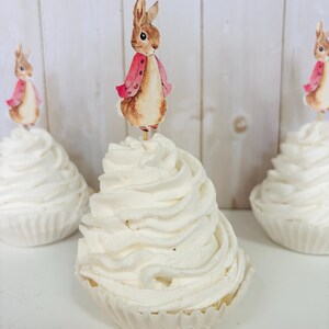 Peter Rabbit cupcake toppers