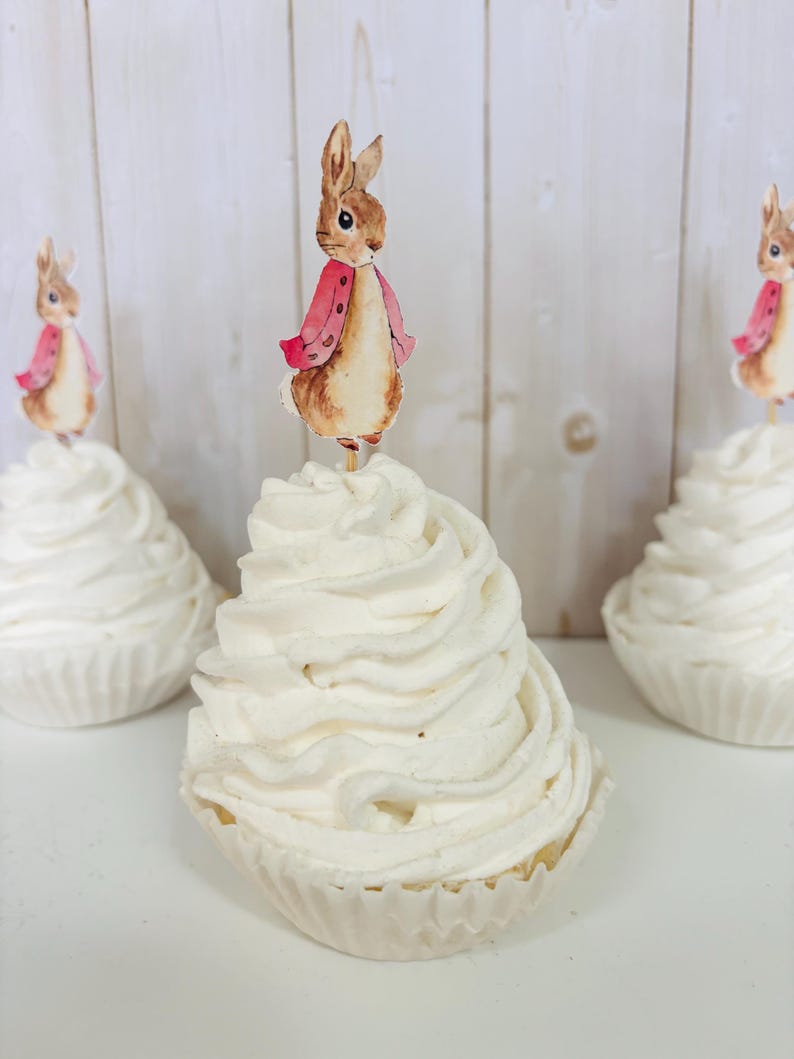 Peter Rabbit cupcake toppers