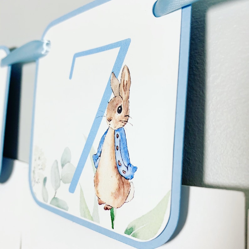 Peter Rabbit Photo Banner that includes months NB - 12. Each pennant features watercolor floral images. Alternating months also includes a Peter Rabbit Image.