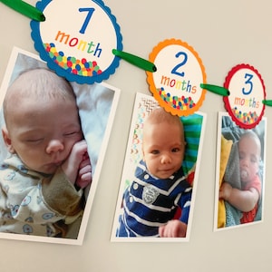 lets have a ball first birthday monthly photo banner featuring a ball pit