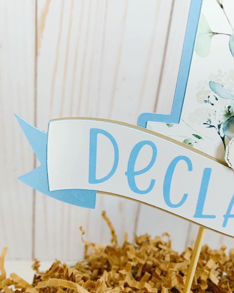 Personalized Peter Rabbit 1st Birthday Cake Topper, Baby Shower, Pink image 3