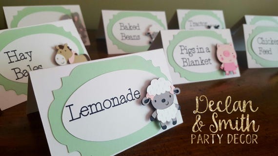Barnyard Birthday Barnyard Birthday Decorations Barnyard Party