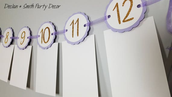 lavender and gold first birthday*lavender and gold monthly photo banner*first birthday girl*lavender and gold party*purple and gold party Il_570xn