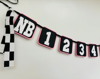 pink racing first birthday party, racing birthday banner, race car birthday party decorations, checkered flag birthday, monthly photo banner