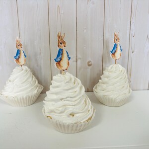 Peter Rabbit cupcake toppers