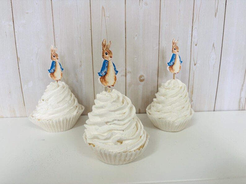 Peter Rabbit cupcake toppers