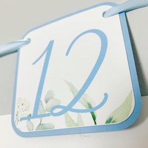 Peter Rabbit Photo Banner that includes months NB - 12. Each pennant features watercolor floral images. Alternating months also includes a Peter Rabbit Image.
