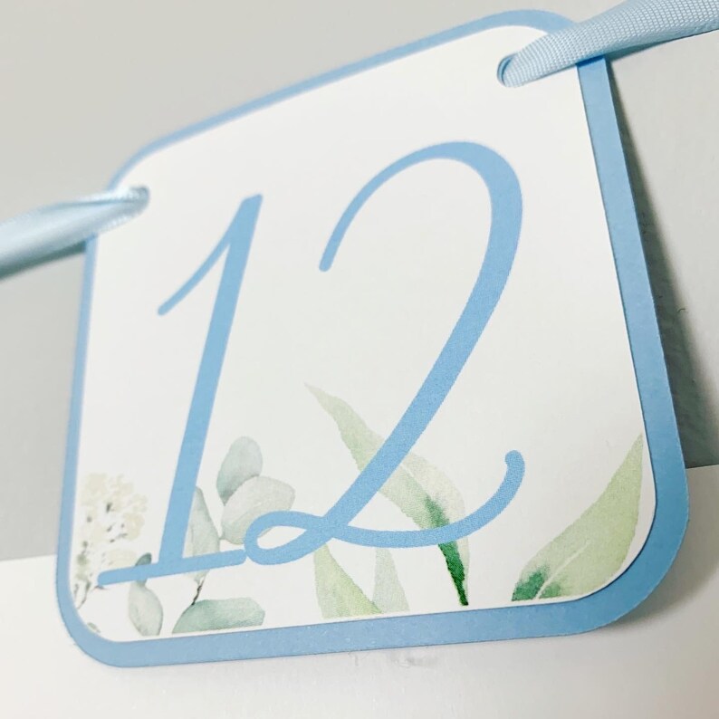 Peter Rabbit Photo Banner that includes months NB - 12. Each pennant features watercolor floral images. Alternating months also includes a Peter Rabbit Image.