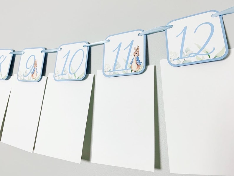 Peter Rabbit Photo Banner that includes months NB - 12. Each pennant features watercolor floral images. Alternating months also includes a Peter Rabbit Image.