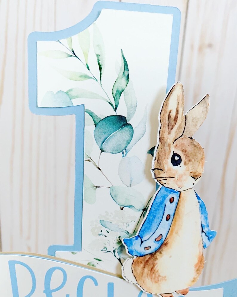 Peter Rabbit Cake Topper Peter Rabbit Birthday Decorations Etsy