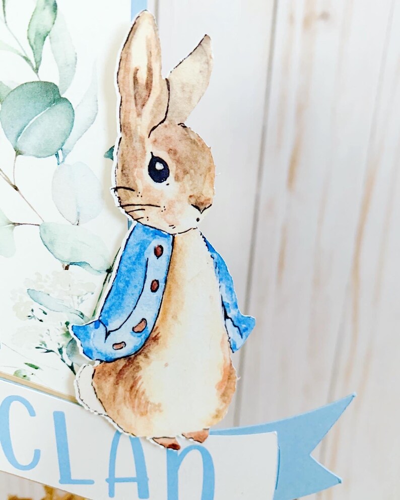 Peter Rabbit Cake Topper Peter Rabbit Birthday Decorations Etsy