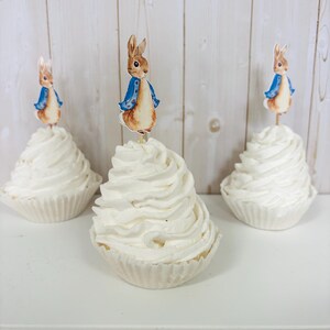 Peter Rabbit cupcake toppers