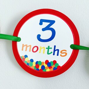 Let's have a ball first birthday milestones photo banner
