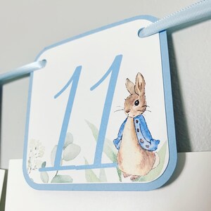 Peter Rabbit Photo Banner that includes months NB - 12. Each pennant features watercolor floral images. Alternating months also includes a Peter Rabbit Image.