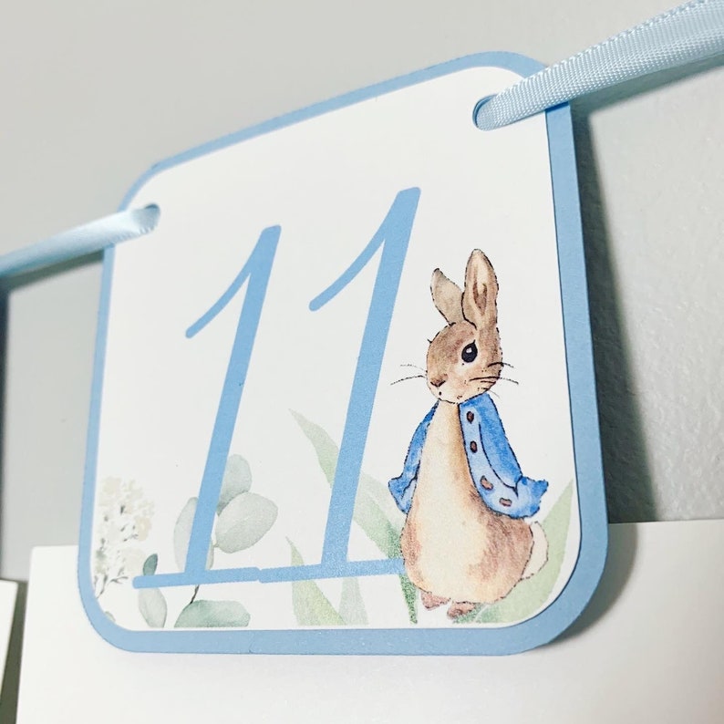 Peter Rabbit Photo Banner that includes months NB - 12. Each pennant features watercolor floral images. Alternating months also includes a Peter Rabbit Image.