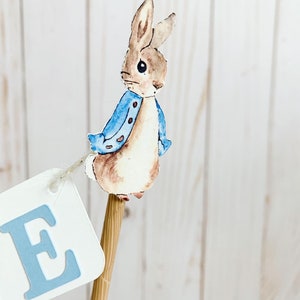 Peter Rabbit Cake Topper, Pink Peter Rabbit Birthday Decorations, Peter Rabbit Baby Shower Decorations, Easter Birthday, Easter Baby Shower image 5