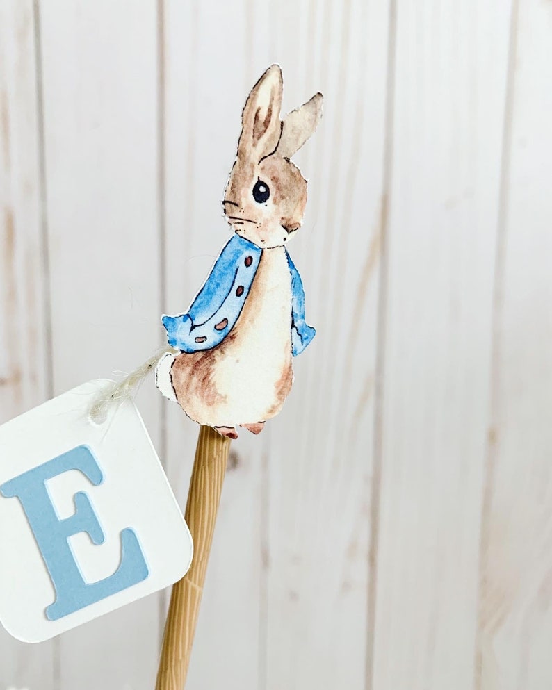 Peter Rabbit Cake Topper, Pink Peter Rabbit Birthday Decorations, Peter Rabbit Baby Shower Decorations, Easter Birthday, Easter Baby Shower image 5