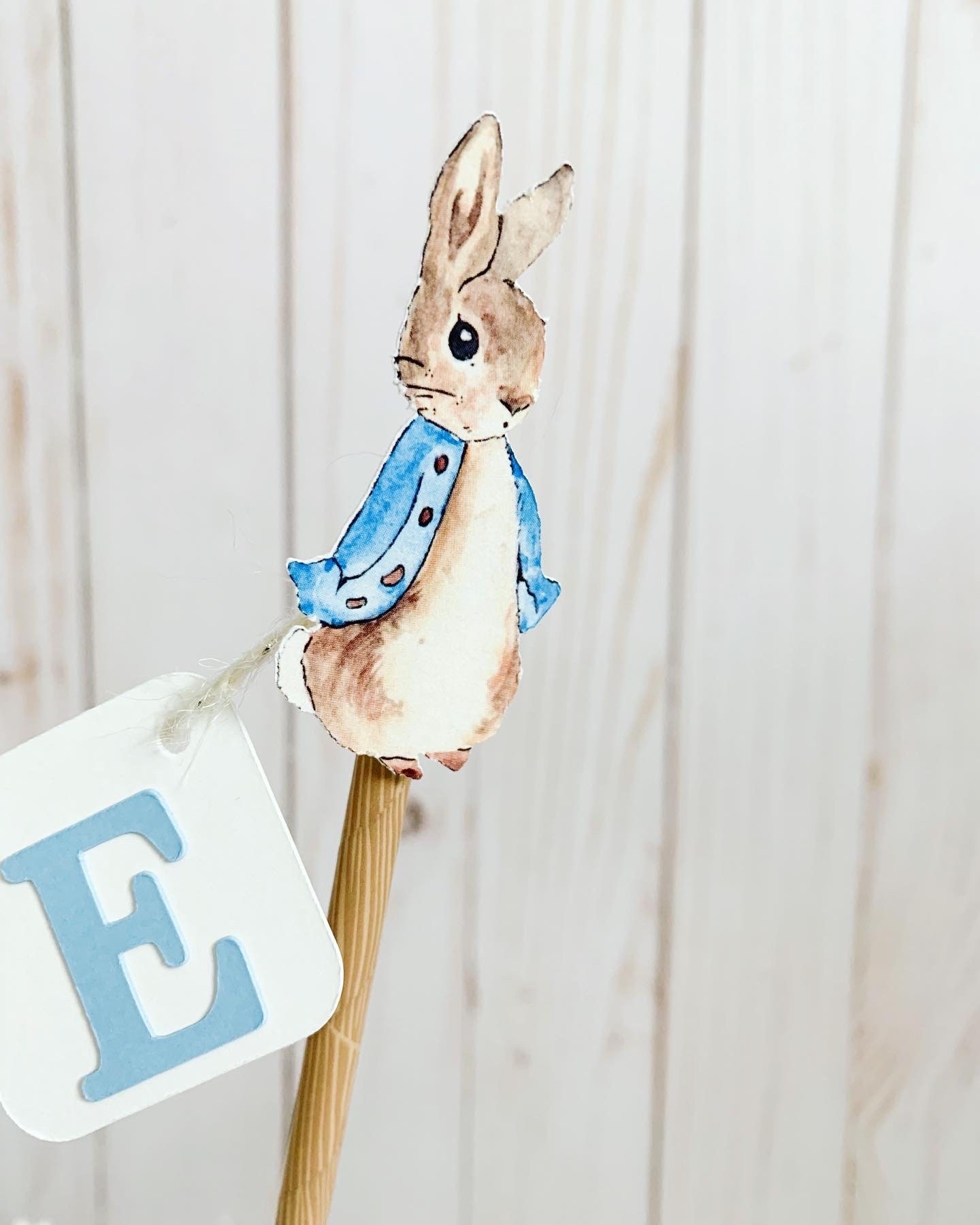 Peter Rabbit Cake Topper Peter Rabbit Birthday Decorations - Etsy Canada