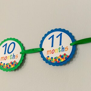 lets have a ball first birthday monthly photo banner featuring a ball pit
