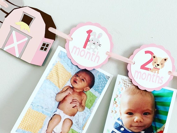 barnyard birthday decorations, pink barnyard birthday, pink barn photo banner, pink barnyard baby shower decorations, barnyard cake topper Il_570xn