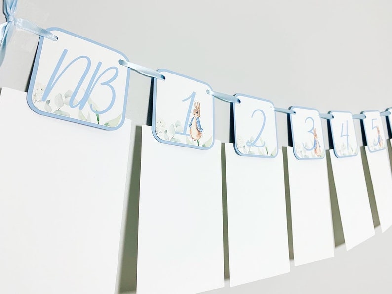 Peter Rabbit Photo Banner that includes months NB - 12. Each pennant features watercolor floral images. Alternating months also includes a Peter Rabbit Image.