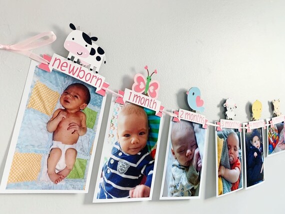 barnyard birthday decorations, pink barnyard birthday, pink barn photo banner, pink barnyard baby shower decorations, barnyard cake topper Il_570xn