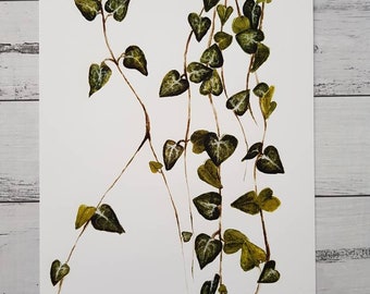 Ceropegia Woodi, Chain of Hearts, String of Hearts, Succulent, Watercolour Print, Art Print, Watercolor Print