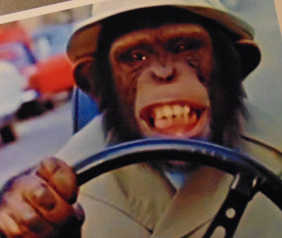Lancelot Link Fridge MAGNET Gift Secret Chimp Spy Driving Monkey Funny 1970 s Kids TV Show Chimpanzee Animal Actor Etsy Canada