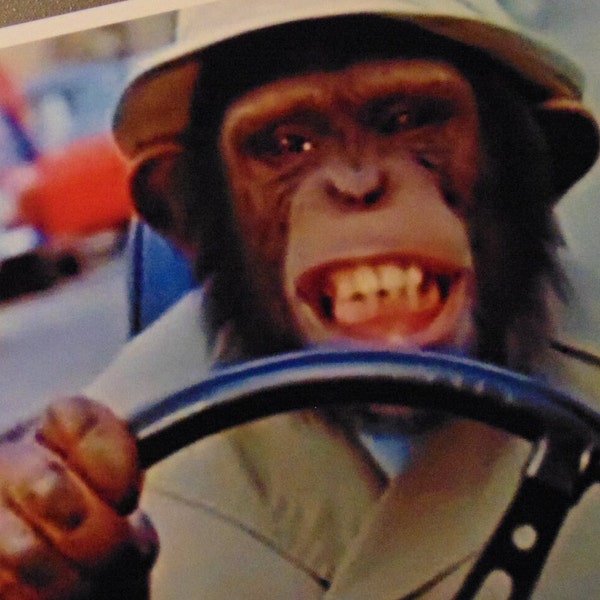 Lancelot Link Fridge MAGNET Gift Secret Chimp Spy Driving Monkey Funny 1970's Kids TV Show Chimpanzee Animal Actor