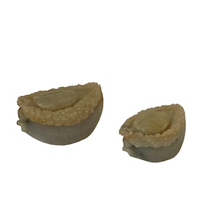 Lot 2 Stone Carved Abalone Shape Display Art ws2224E