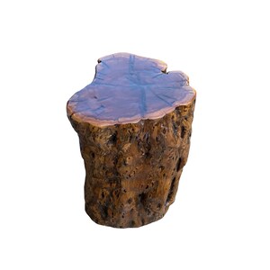 Raw Wood Rough Grain Finish Irregular Shape Short Stool Table cs7538E image 4