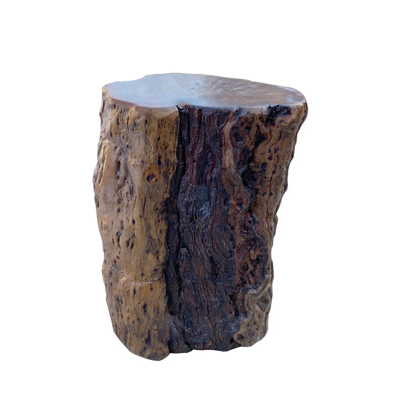 Raw Wood Rough Grain Finish Irregular Shape Short Stool Table cs7537E image 4