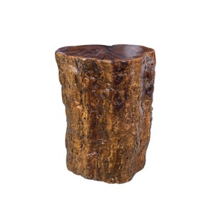 Raw Wood Rough Grain Finish Irregular Shape Short Stool Table cs7537E image 1