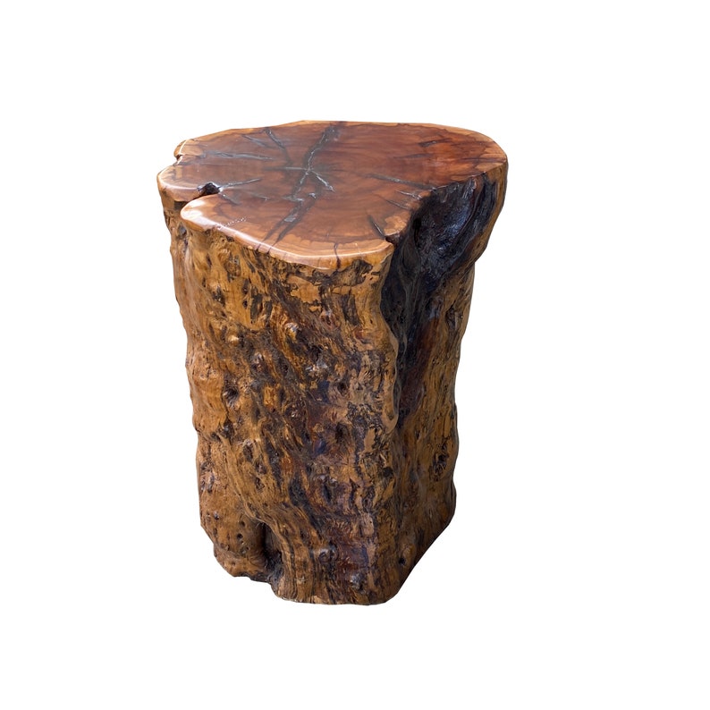 Raw Wood Rough Grain Finish Irregular Shape Short Stool Table cs7538E image 5