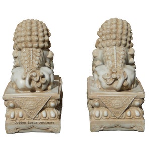 Pair Chinese Off White Marble Like Fengshui Foo Dogs cs1289E image 4