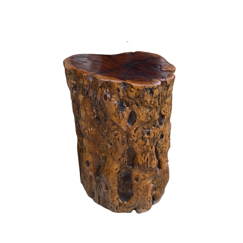 Raw Wood Rough Grain Finish Irregular Shape Short Stool Table cs7538E image 3