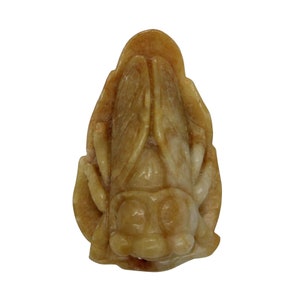 May include: A carved jade pendant in the shape of a cicada. The pendant is a light brown colour with intricate details.