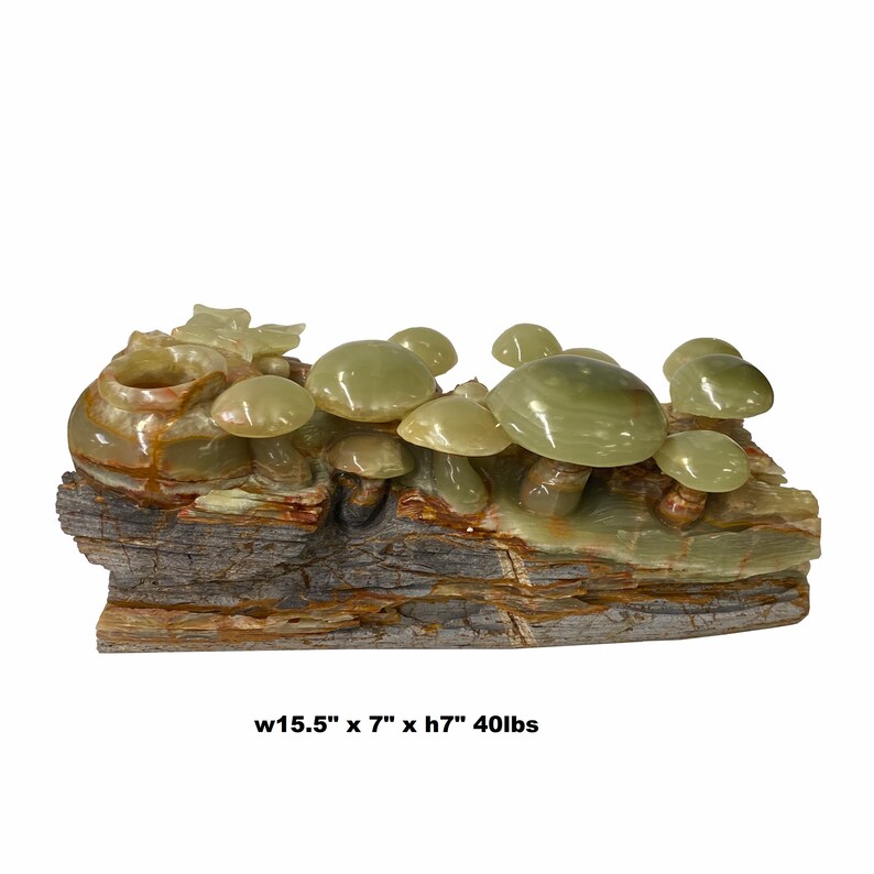 Natural Stone Carved Flower Mushroom on Wood Fengshui Display Figure ws1678E image 5