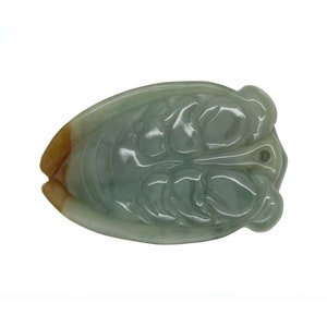 Hand Crafted Jade Pendant Dark Green Yellow Cicada Zen Ornament Figure n508E image 6