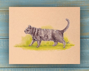 Vintage Grey British Shorthair Cat Art Print - Vintage Pets Series - Hand Drawn Art - Cats / Kittens / Poster Wall Art / Cat lover art