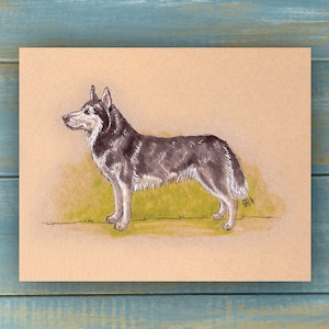 Vintage Siberian Husky Art Print - Vintage Pets Series - Hand Drawn Art - Dogs / Puppies / Poster Wall Art / Dog lover art
