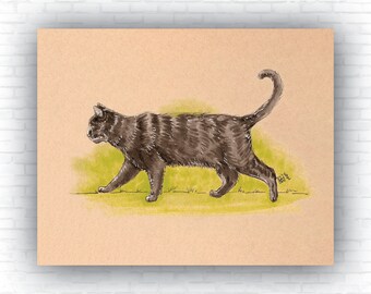 Vintage Black Cat Art Print - Vintage Pets Series - Hand Drawn Art - Cats / Kittens / Poster Wall Art / Cat lover art