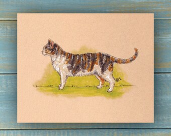 Vintage Multicolor Calico Cat Art Print - Vintage Pets Series - Hand Drawn Art - Cats / Kittens / Poster Wall Art / Cat lover art