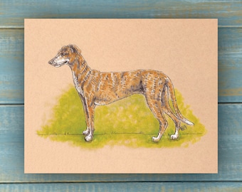 Vintage Greyhound Art Print - Vintage Pets Series - Hand Drawn Art - Dogs / Puppies / Poster Wall Art / Dog lover art