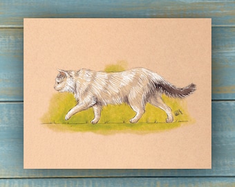 Vintage White Ragdoll Cat Art Print - Vintage Pets Series - Hand Drawn Art - Cats / Kittens / Poster Wall Art / Cat lover art