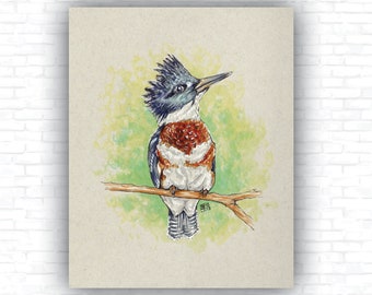 Vintage Belted Kingfisher Bird Art Print - Hand-Drawn Artwork - Vintage bird series - Wall Art, Design and Decor
