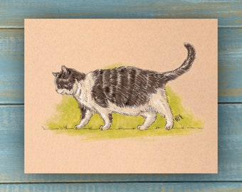 Vintage Black and White Cat Art Print - Vintage Pets Series - Hand Drawn Art - Cats / Kittens / Poster Wall Art / Cat lover art