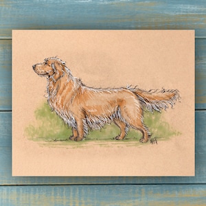 Vintage Golden Retriever Art Print - Vintage Pets Series - Hand Drawn Art - Dogs / Puppies / Poster Wall Art / Dog lover art